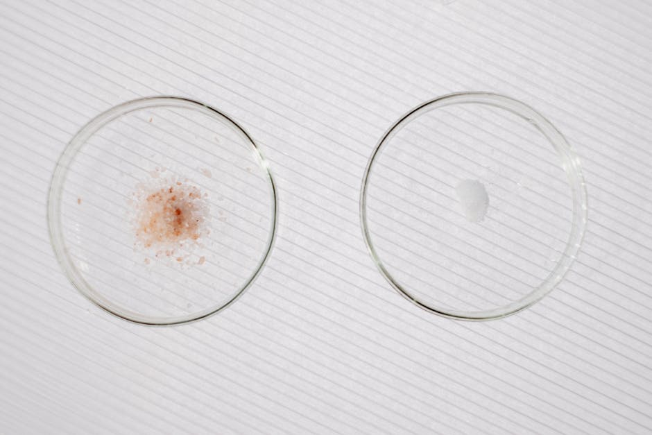 Top view of a minimalist chemistry experiment with two petri dishes on a white background.