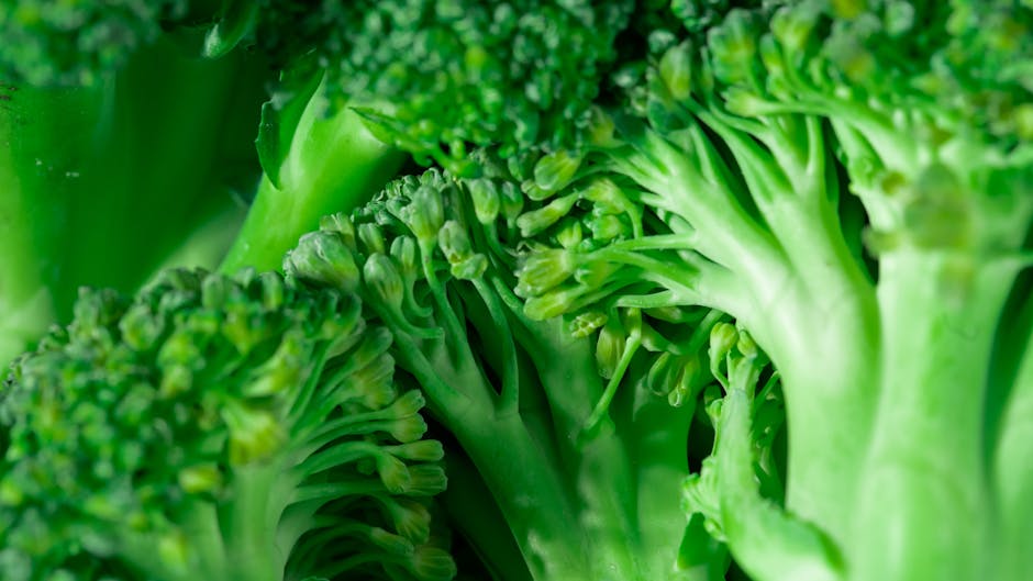 Macro shot of fresh green broccoli showcasing texture and vibrant color. Perfect for healthy eating concepts.